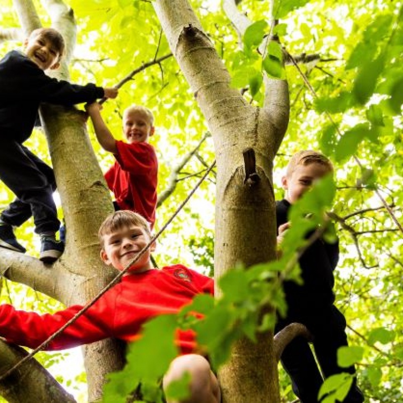 How a radical approach to Thrive and outdoor learning helped to transform pupils' behaviour